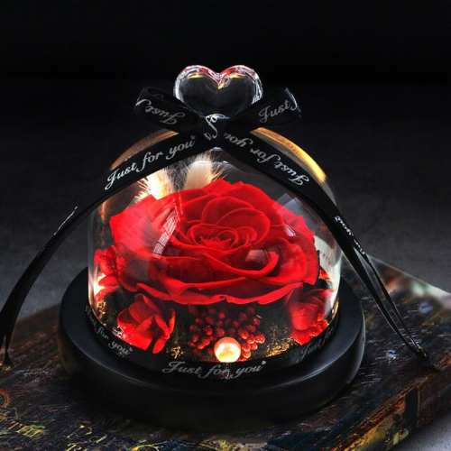 Rose éternelle dôme en verre lumineux